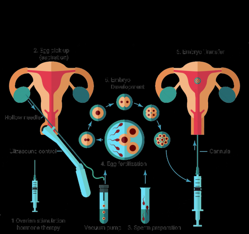 Onde Encontrar Clínica para Fertilização In Vitro Vila Uberabinha - Centro de Reprodução Humana Onde Encontrar Clínica para Fertilização In Vitro Vila Uberabinha - Centro de Reprodução Humana